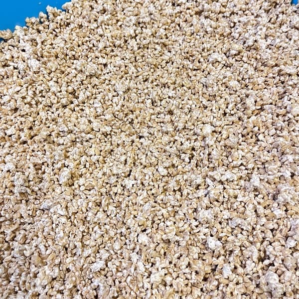 【超希少】自然栽培「キラリモチ」大麦麹 | 少量のみ限定販売。やさしさが凝縮した、極上の生麹。