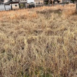 農繁期に伴う出荷曜日限定について