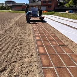 【苗箱4000枚以上】種蒔きから苗広げまで終了