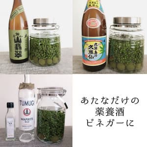 有機JAS認証取得済★2025年瞬冷凍★うまぶどう・野ぶどう果実【冷凍】の口コミ・レビュー(JCTさん)