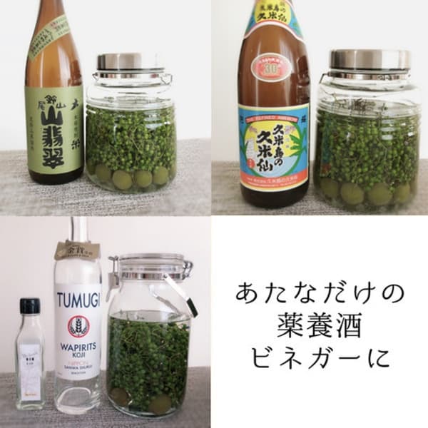 有機JAS認証取得済★2025年瞬冷凍★うまぶどう・野ぶどう果実【冷凍】