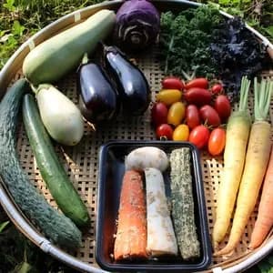 春夏お任せ野菜セット＋ぬかごと食べれるぬか漬けお任せ4種セットの口コミ・レビュー(RKKさん)