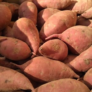 自然栽培/自然乾燥〈べにはるか〉大分県産さつまいもの口コミ・レビュー(みつはさん)