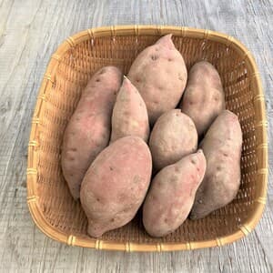 削除希望　自然栽培/自然乾燥〈金時芋〉大分県産さつまいも 