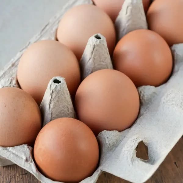 「やまたま」 平飼い有精卵