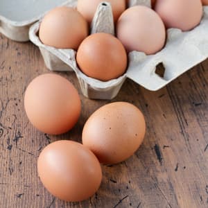 平飼い有精卵【おやまの農園ほーんびるの大寒卵】10個入りの口コミ・レビュー(太郎と玉子さん)