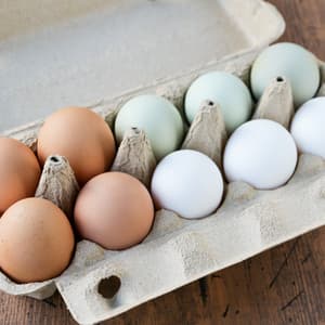 「みんなのたまご」 3色カラフルな平飼い卵の詰め合わせ