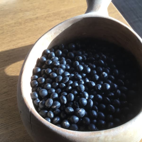 馬耕・自然栽培　黒千石大豆