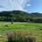 horsemade landscape