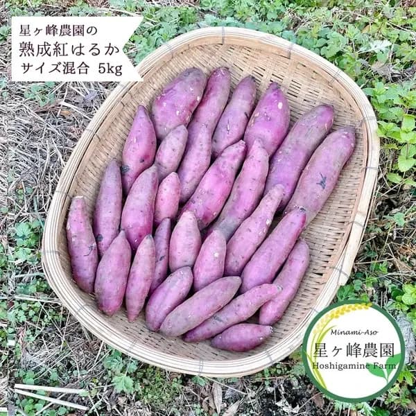 令和7年産・南阿蘇産【熟成紅はるか】 (農薬・化成肥料・除草剤・堆肥不使用栽培）