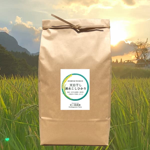 令和７年産  / 天日干し湧水こしひかり精米 ＜農薬・化成肥料・堆肥・除草剤不使用栽培＞