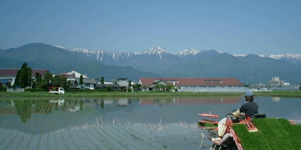 信州坊主ほのか（細井ファーム）ロゴ