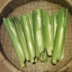 自然栽培 マコモタケ 【農薬・肥料・堆肥不使用】