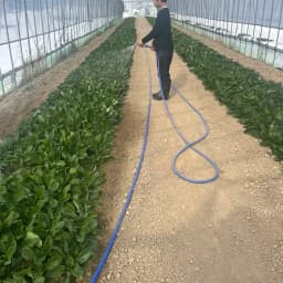 お休みの日のお手伝い