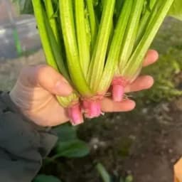 美味しいと感じるのは、身体が必要としているから？