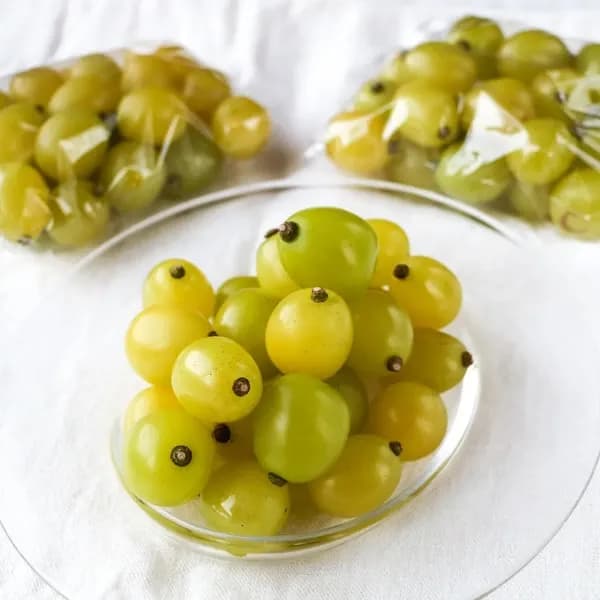 自然に寄り添い育てたぶどう＜岡山県産シャインマスカット＞殺菌剤・殺虫剤・化学肥料・除草剤を使わない栽培