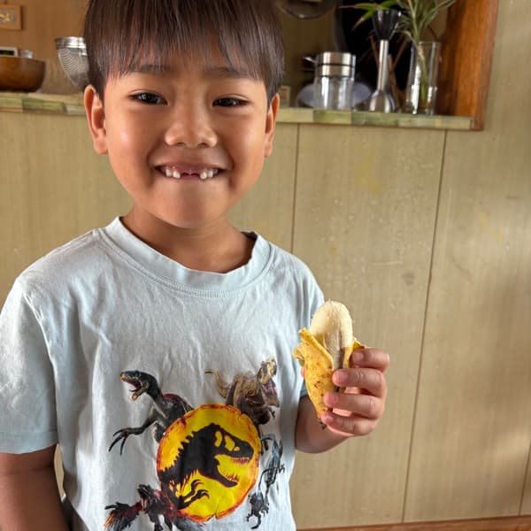 沖縄県産島バナナ　農薬や肥料は使わずなるべく自然のチカラで育てた🍌