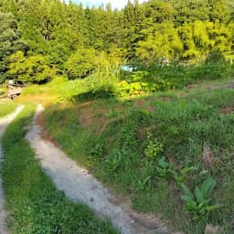 初めまして 『彩り・なる暮らし』です。