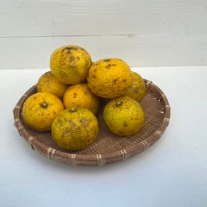 【訳あり】柚子 ゆず　農薬・化学肥料不使用の口コミ・レビュー(よつばのクローバーさん)