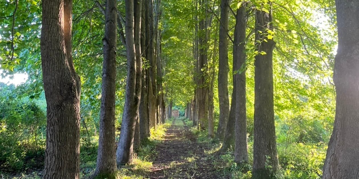 ​伊賀自然栽培｜滋味農園（JIMIFARM）ロゴ