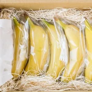 農薬不使用で皮まで食べられる＜金太郎バナナ＞神奈川県産グロスミッシェルの口コミ・レビュー(ピノ子さん)