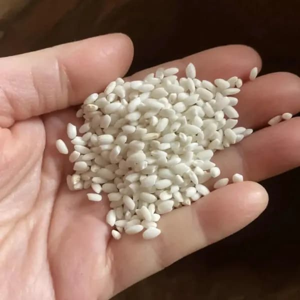 【送料一律600円】農薬・化学肥料不使用　自然栽培＜令和7年産　天日干し・もち米　滋賀羽二重糯＞