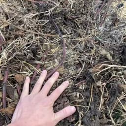 はじめてさん🔰にも優しい農のお話「農薬・肥料だけじゃない？！農法の違いを知る（2）」