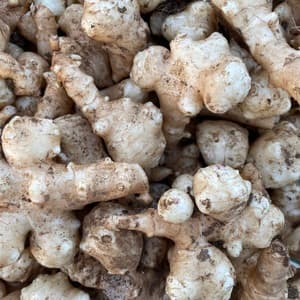 鹿児島坊津で農薬・化学肥料不使用＜自然栽培の菊芋＞過酷な風土で育ったスーパーフードの口コミ・レビュー(まさあきさん)