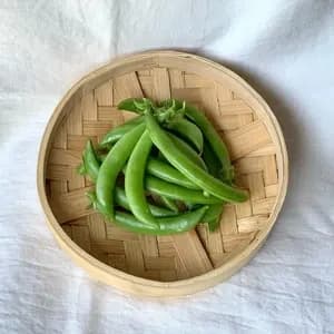 鹿児島坊津で農薬・肥料不使用＜自然栽培のスナップエンドウ＞甘い春の味のレビュー