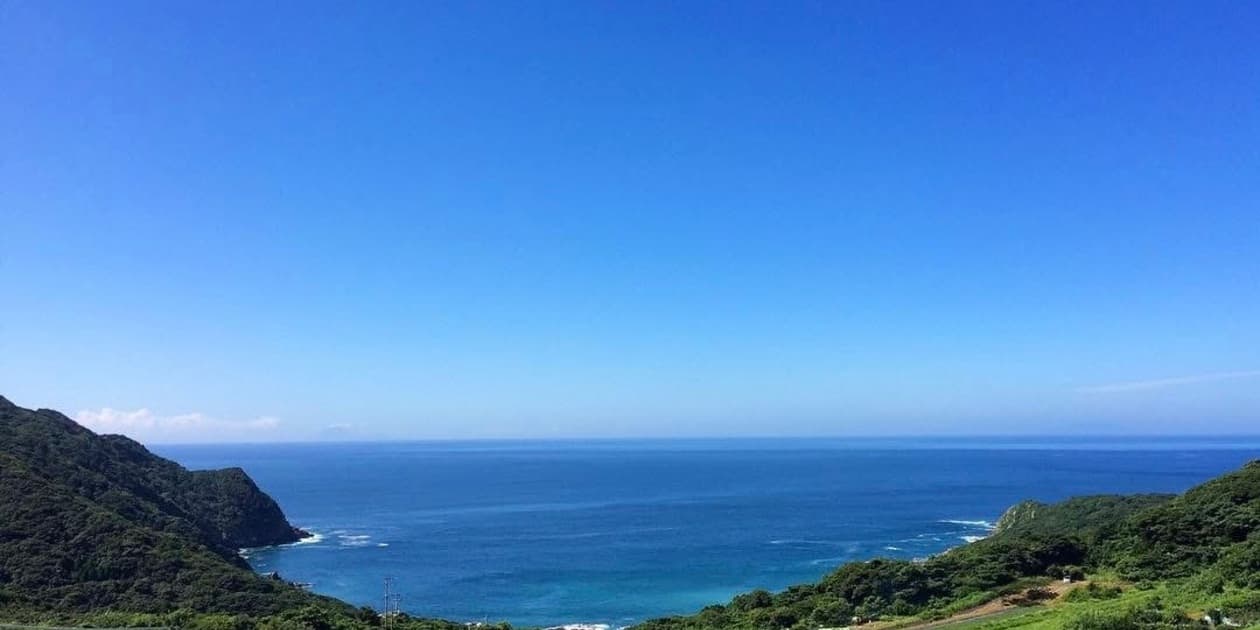 こころの野菜ロゴ