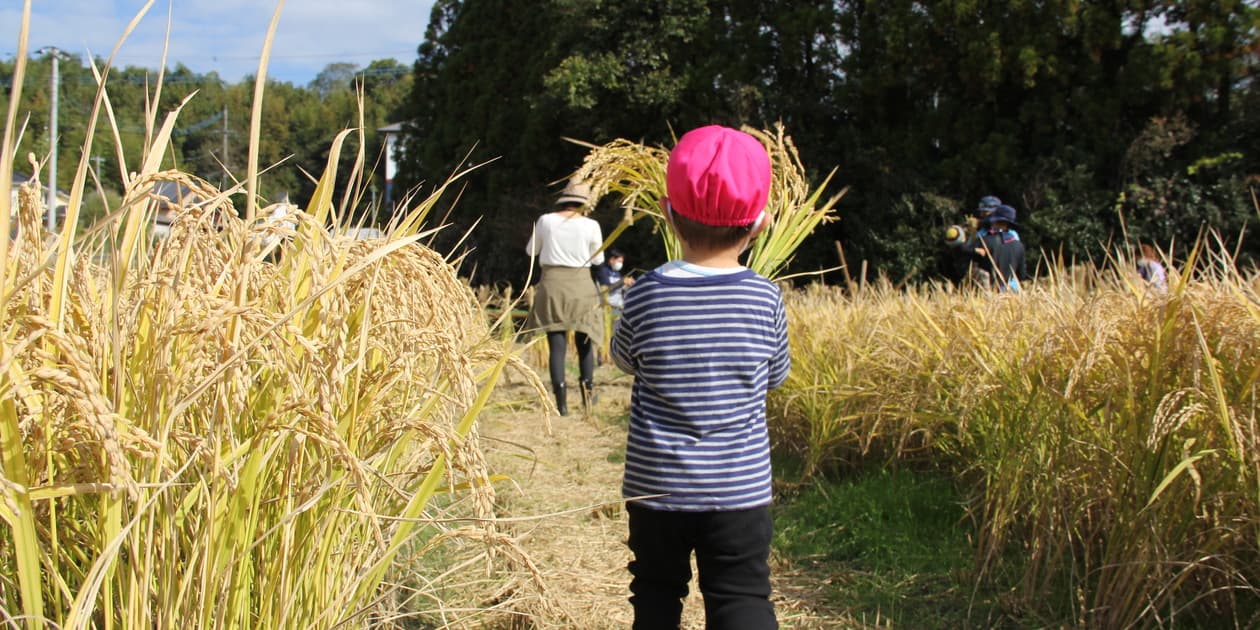 こなつ農園ロゴ