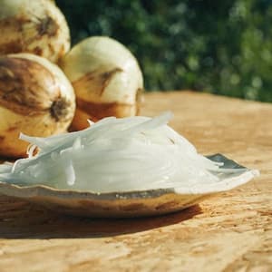 〈予約販売〉【2026年3月上旬より順次発送】1年に一度だけ！感動の甘さ・早採りサラダ玉ねぎ┃無農薬・無化学肥料栽培┃九州・中国地域送料込