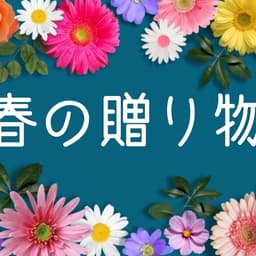 春の贈り物に。心もほっと温まる「KUMAちゃんカレー」のカレーとスイーツ