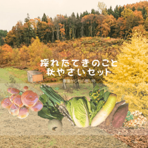 秋の味覚！採れたて天然きのこと秋野菜セットの口コミ・レビュー(くるみさん)