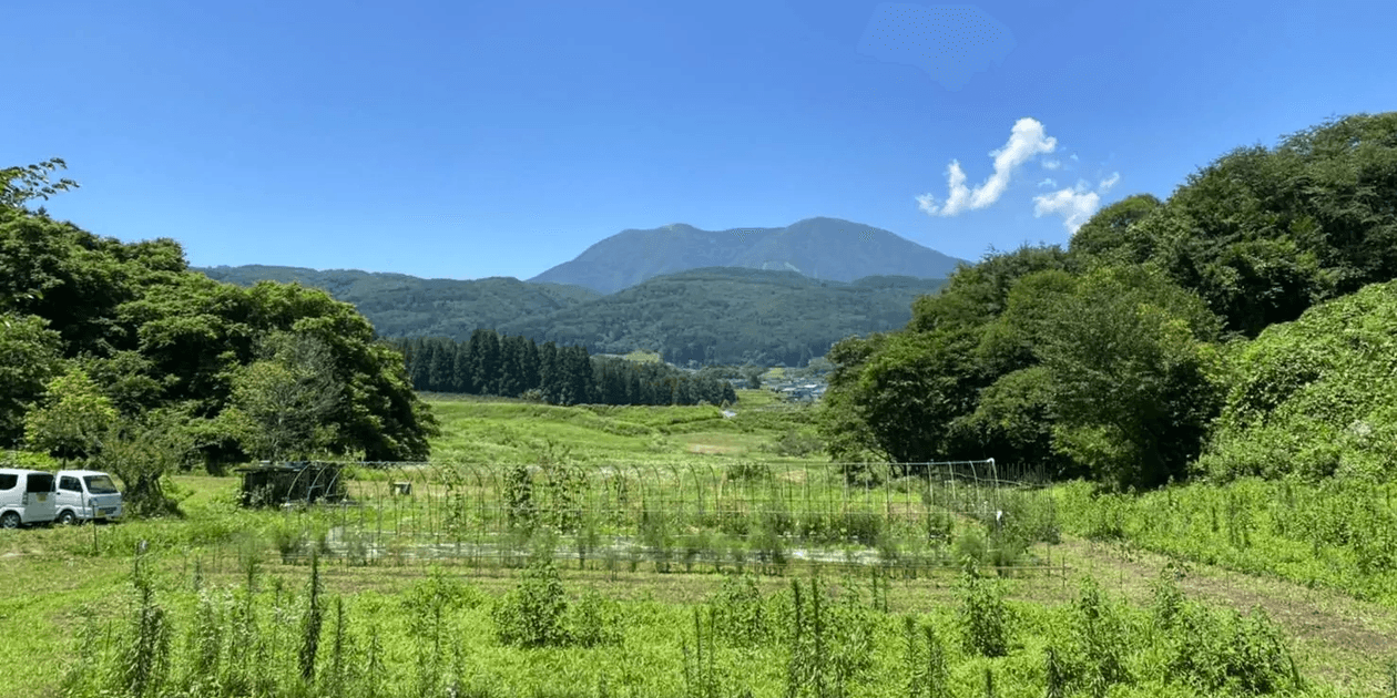 くろやなぎ農園ロゴ