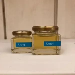 《非加熱・無投薬》自然養蜂で採取した北海道の盛夏の蜂蜜 「Sora」