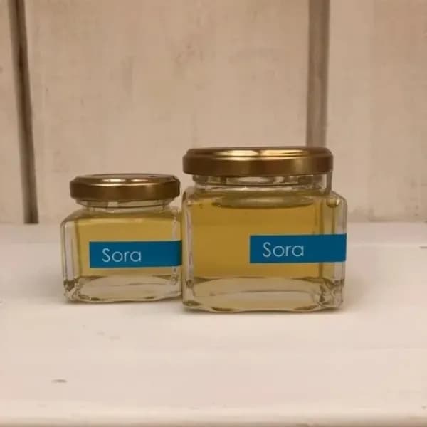 《非加熱・無投薬》自然養蜂で採取した北海道の盛夏の蜂蜜 「Sora」