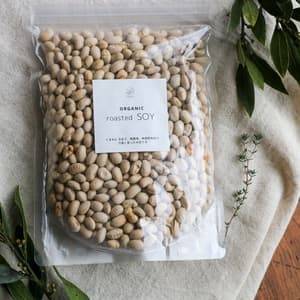 無農薬 煎り大豆　直火焙煎　自然栽培 除草剤不使用 無施肥 熊本県産 縄田さんのロースト大豆　オーガニック