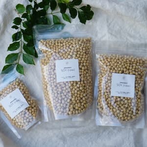 無農薬　大豆　オーガニック　自然栽培 除草剤不使用 無施肥 熊本県産 縄田さんの乾燥大豆（生）　味噌作り