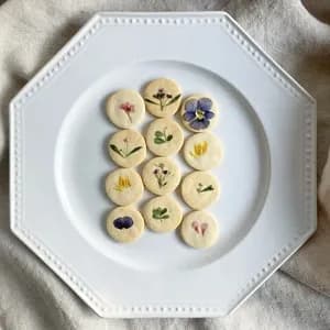 標本サブレの口コミ・レビュー(ROSEさん)