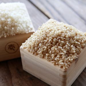 令和5年度産/有機JAS認定　うるち白米（森のくまさん）