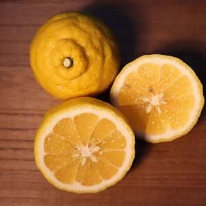 畑のキャンディー！「はるか」