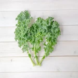 【ほぼ自然栽培！お得なまとめ買い！】高栄養のスーパーフード ケールのまとめ売り！の口コミ・レビュー(権太さん)