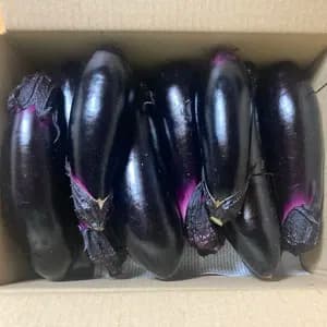 【お得なまとめ買い！！】ほぼ自然栽培！！中長ナスの元祖の早生真黒ナスの口コミ・レビュー(なつめさん)