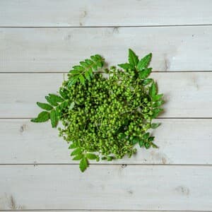 【農薬不使用！！ピリリと辛い和のハーブ】山椒の実　約100gの口コミ・レビュー(ともさん)