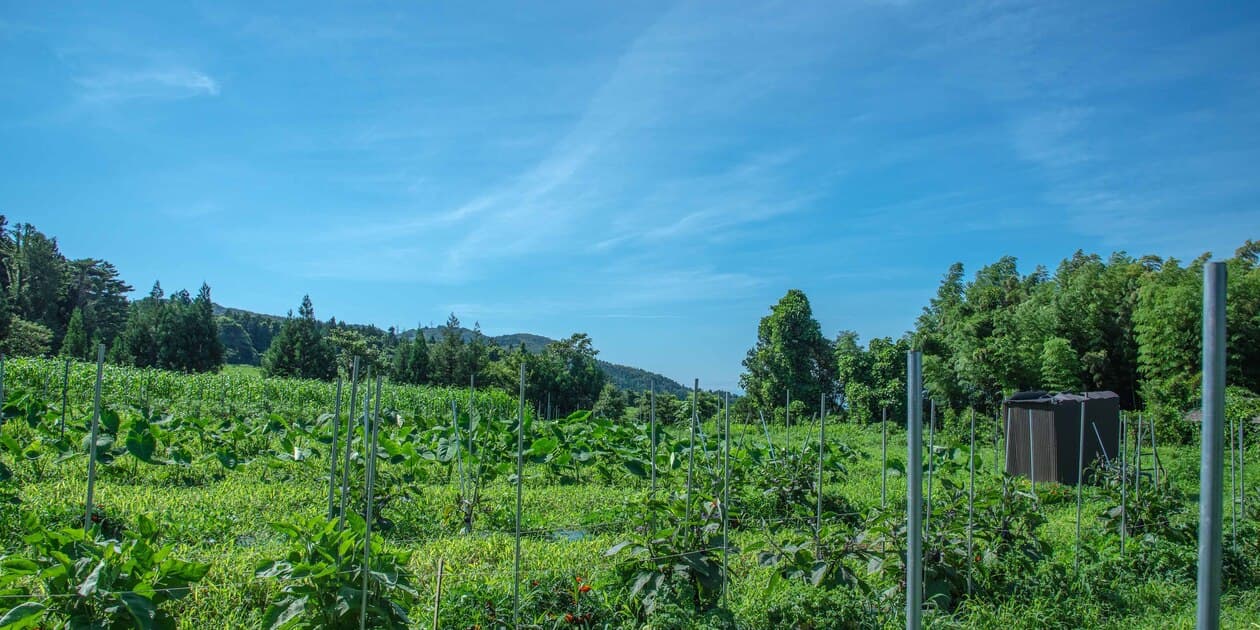 まえむき。Farm&Shopロゴ