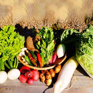 野菜セット 