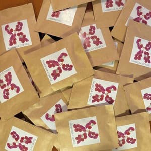 【プチギフトに】フェアトレード&有機栽培 50度お湯洗いのコーヒー豆ドリップバック便（産地おまかせ8パック）の口コミ・レビュー(Yukieさん)