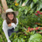 Mariposa Coffee