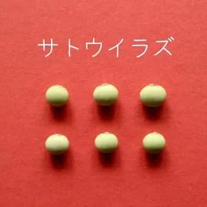 豆【サトウイラズ　２００g】砂糖がいらないくらい甘みの強い大豆です